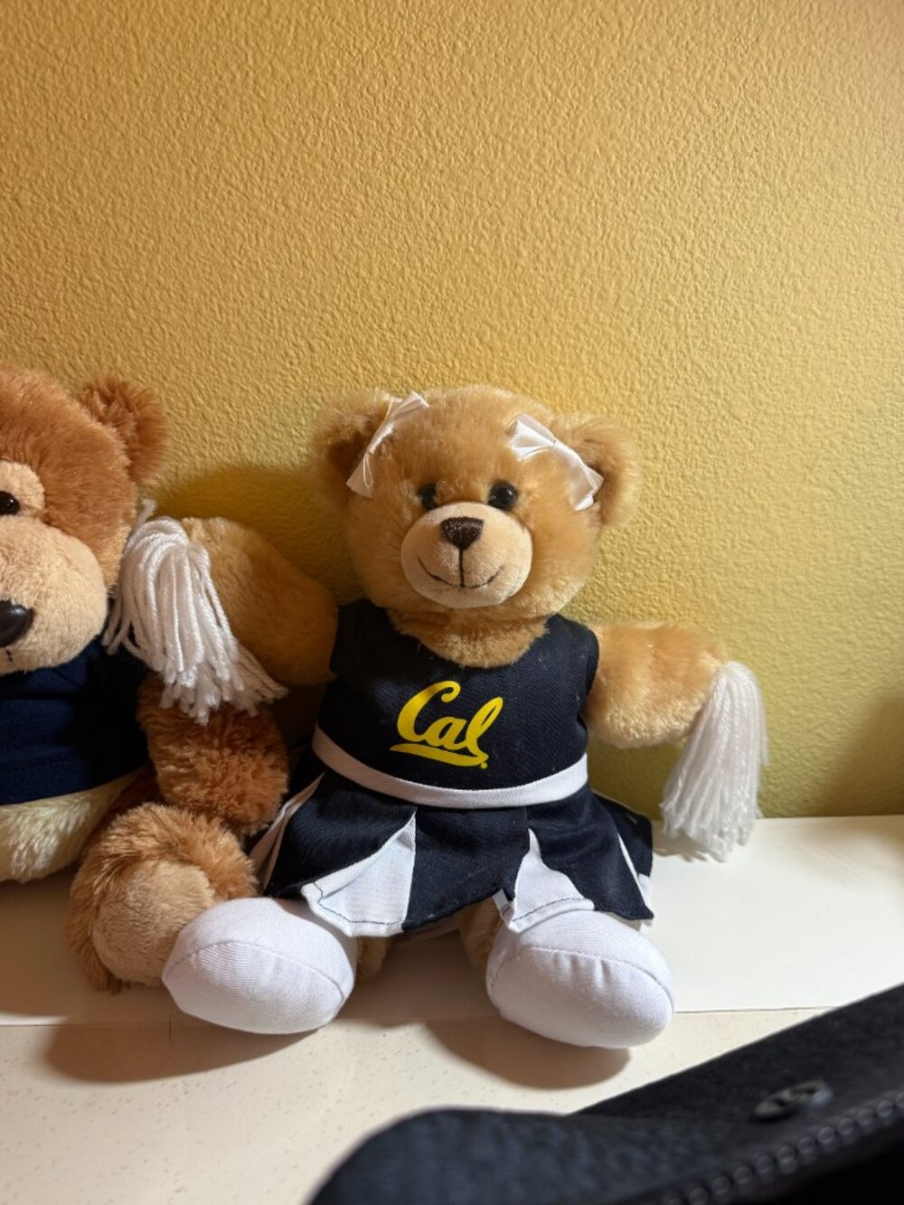 UC Berkeley cheerleader bear